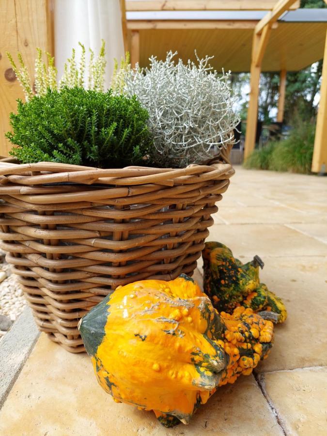Villa Quality Wellness Dozmat Exterior foto
